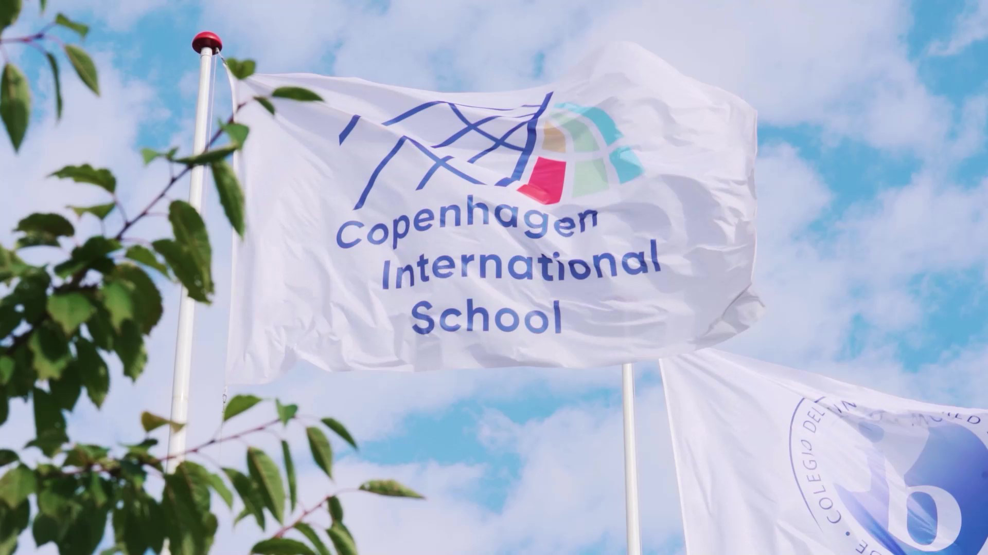 Copenhagen Internation School Flagstang